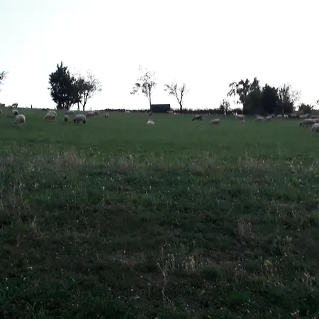 Laveissiere D'aubespeyre *